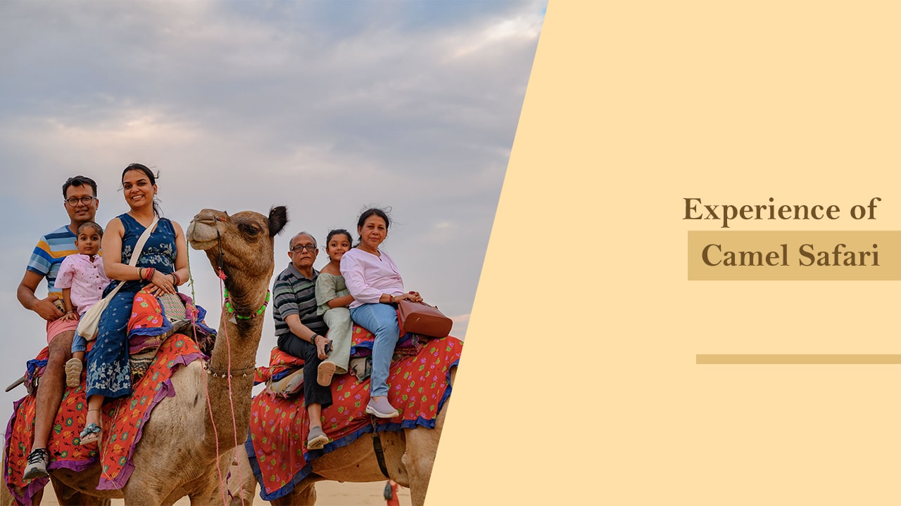 Experience of Camel Safari